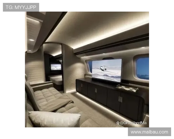 飞机客舱内饰材料的环保等级标准