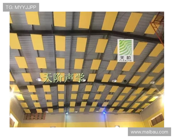 飞机客舱顶板的声学吸音结构设计